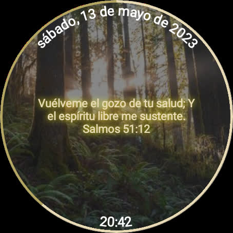 Vista previa de la aplicación