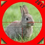 Rabbit Hunting 2 icon