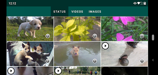 Status Downloader Free WhatsApp Status saver