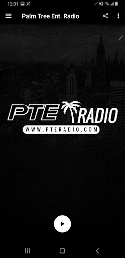 Palm Tree Ent. Radio Screen 2