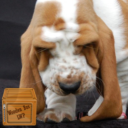 basset wallpaper logo