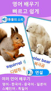 동물 소리 그림 카드 PRO - 영어를 배우다