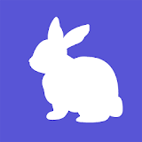 Bunny Boom. icon