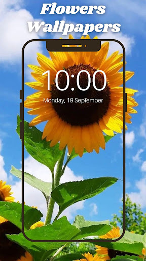 Flower Background Wallpaper