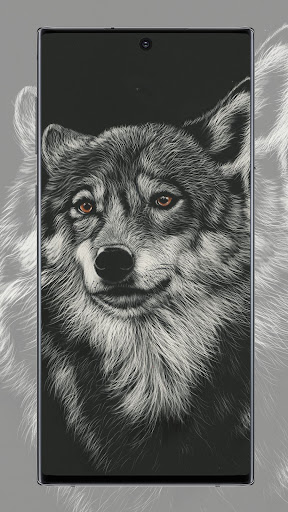 Wolf Wallpaper Screen 3