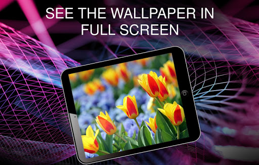 Spring wallpapers