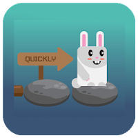 Run Bunny, Run!