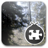 Lightning Bug - Forest Pack icon