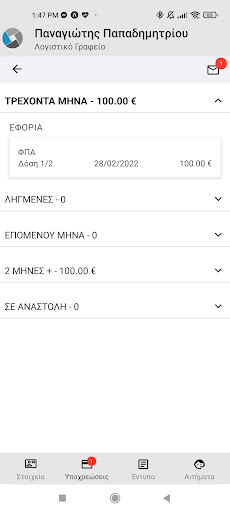 eAccounting - Εφαρμογή Πελατών Screen 3