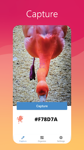 Android application Colors Capture Pro screenshort