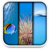 under sea live wallpapers icon