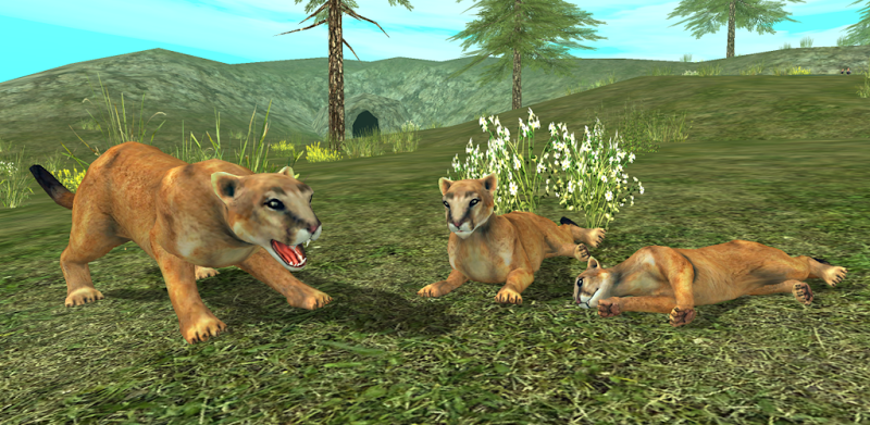 Wild Cougar Sim 3D