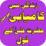 Hazrat Ali(RA) k Aqwal Asool icon
