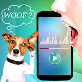 Translator For Dogs Prank icon
