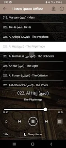 Ayman Swed Full Quran Offline