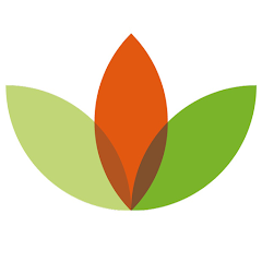 Icon image