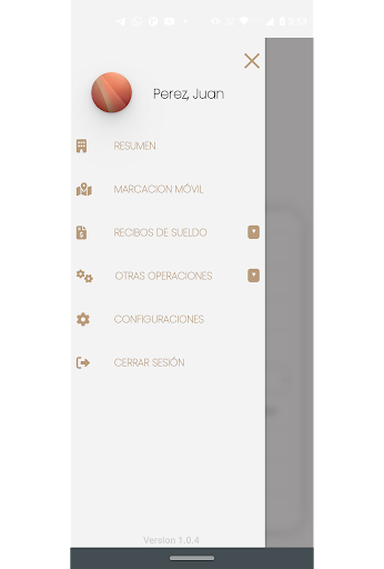 WMS Mobile Screen 2