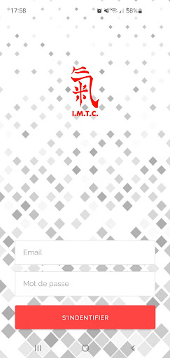 I.M.T.C. Screen 2