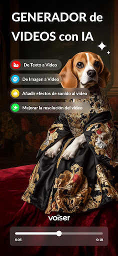 Vista previa de la aplicación
