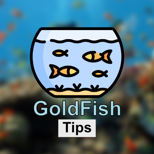 Perawatan Ikan Koki Lengkap