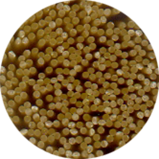 Pastamizer logo