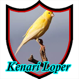 Master Kicau Kenari Loper icon