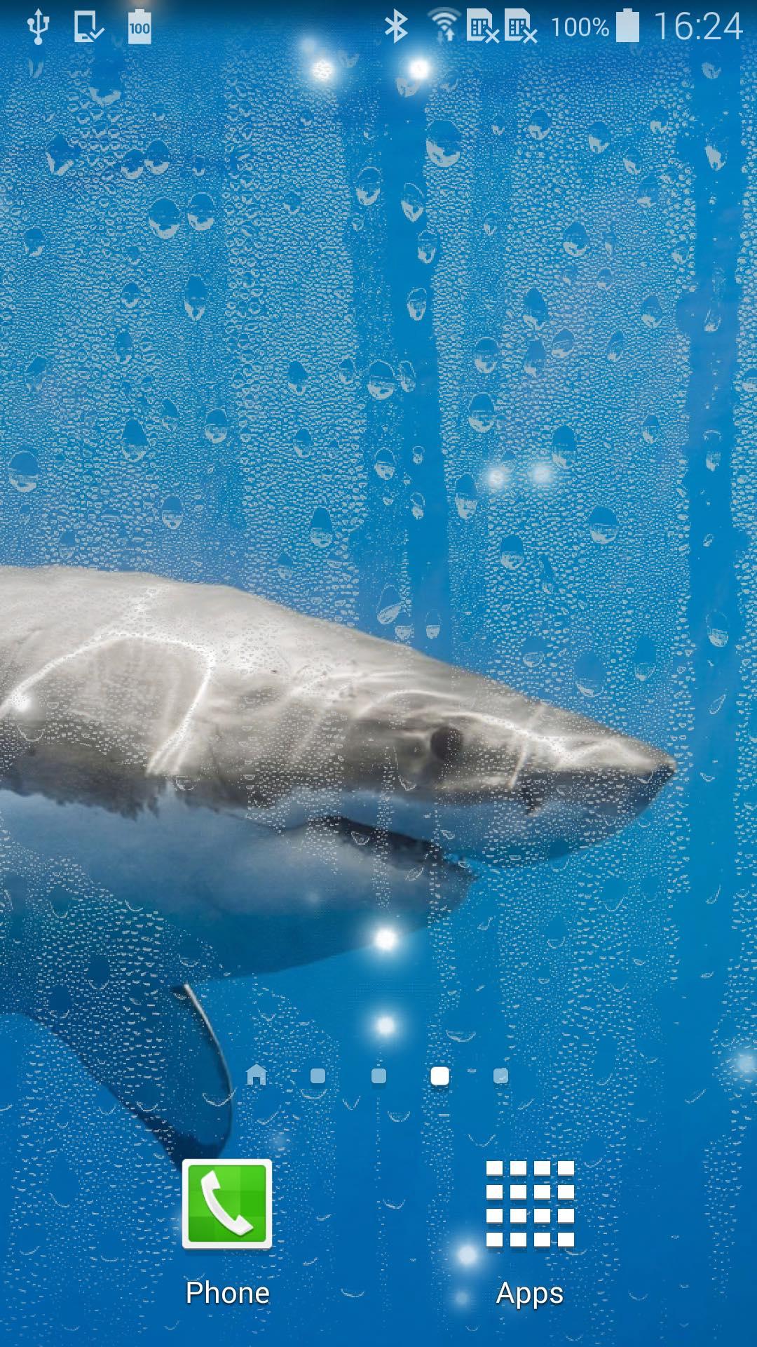 Android application Shark Live Wallpaper screenshort