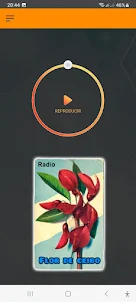 Flor de ceibo Radio