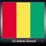 TV Guinea Channel Info icon