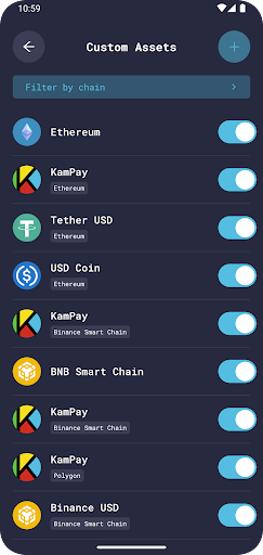 KamWallet Screen 3