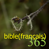 365 Bible (français) icon