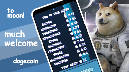 Flappy Dogecoin Screen 3