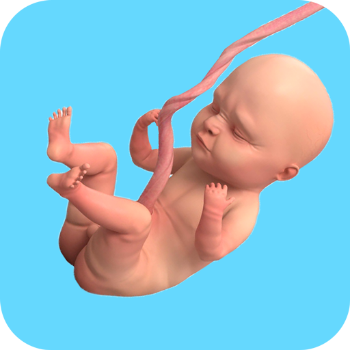 Pregnant Mother Family Game 3D