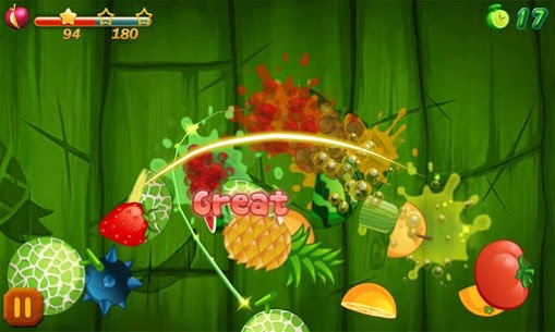 Fruit Slice Deluxe For PC installation