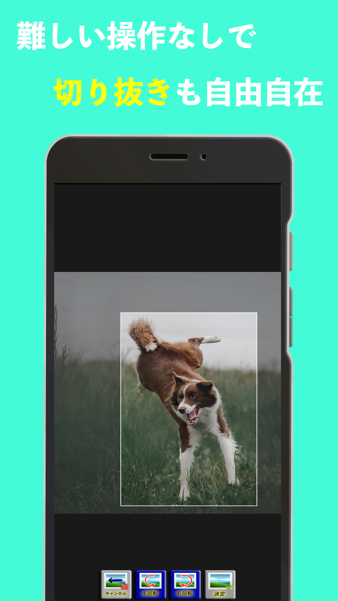 Android application 写真リサイズ / トリミング/モザイク - 画像の編集屋さん screenshort