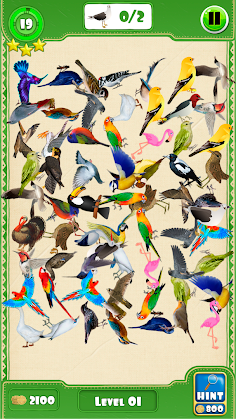 Hidden Pigeon Game Find Birds - Screenshot 1