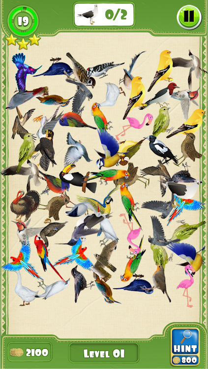 Hidden Pigeon Game Find Birds - 1.9 - (Android)