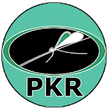 PKR V2.0 icon
