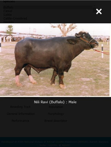 Animal Genetic Res of India Screen 3