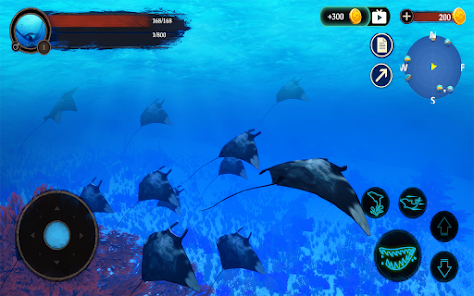 Captura 23 The Manta rays android