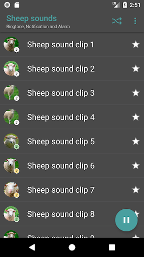 Sheep sounds Screen 2