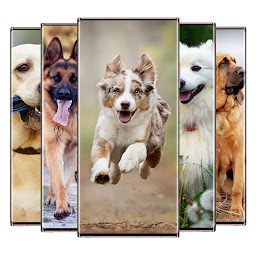 Icon image Dog wallpaper