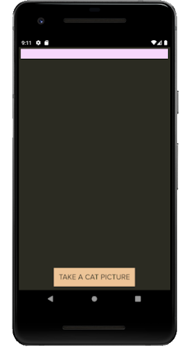 Cat type identifier Screen 2