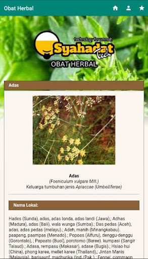 Obat Herbal Screen 3