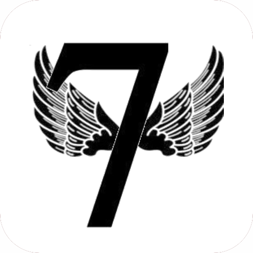 Flying 7 Fitness logo