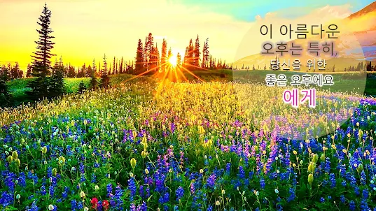 Korean Daily Wishes Messages