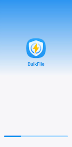 BulkFile-Photo Manage