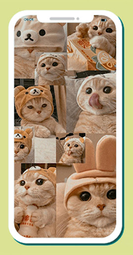 Wallpaper Gemoy Lucu Estetik