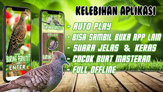 Suara Burung Perkutut Offline