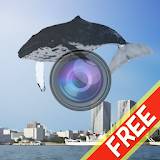 Whale Camera icon